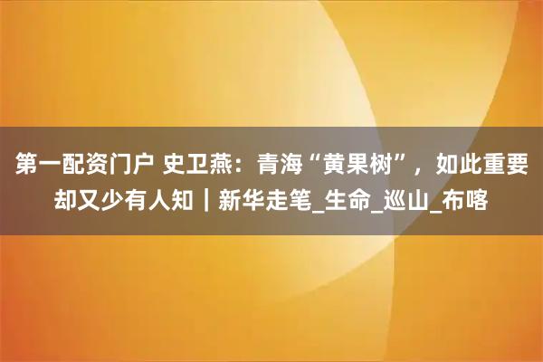 第一配資門戶 史衛燕：青海“黃果樹”，如此重要卻又少有人知｜新華走筆_生命_巡山_布喀